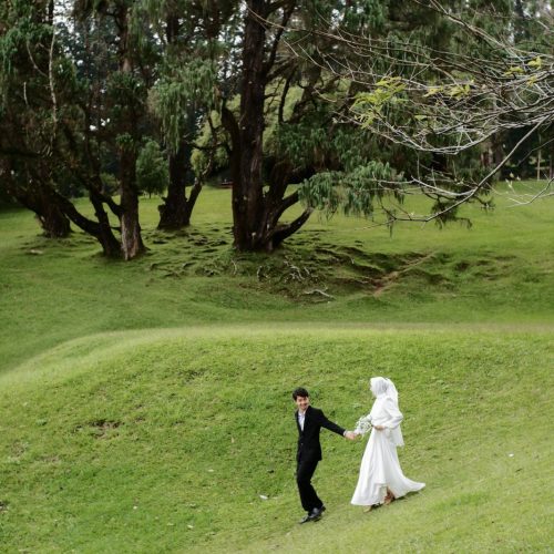 ALISA-IRFAN10