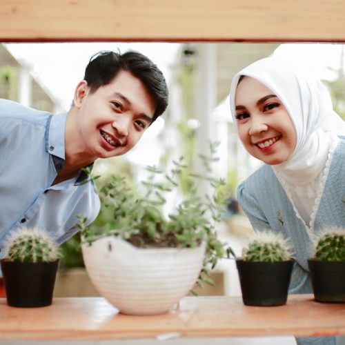ALISA-IRFAN16