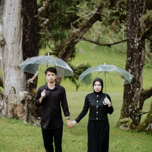 ALISA-IRFAN21