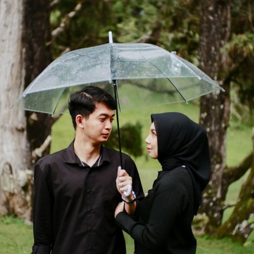 ALISA-IRFAN22