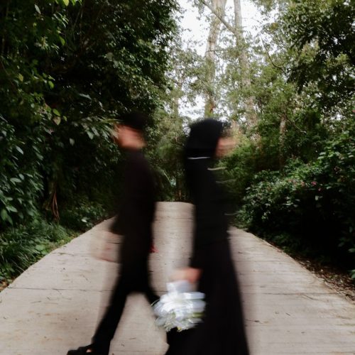 ALISA-IRFAN29