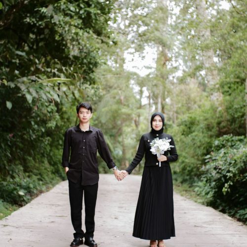 ALISA-IRFAN30