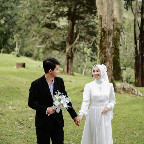 ALISA-IRFAN6