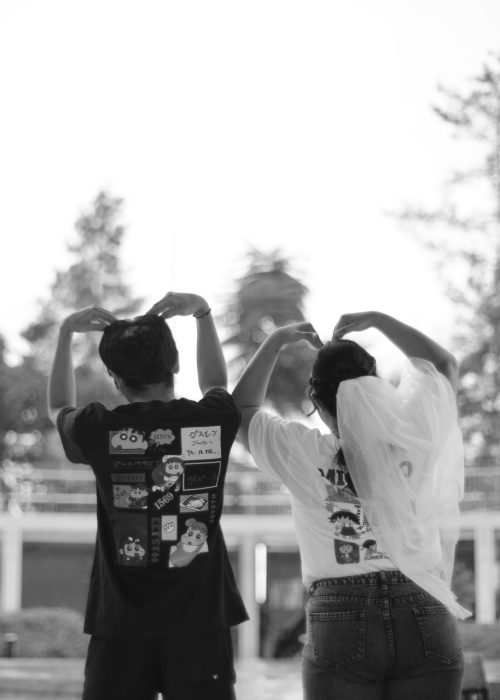 DSC07158 miftah (10)