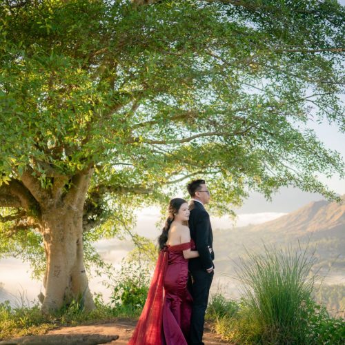 GALLERY DAVIK-DESIKA9