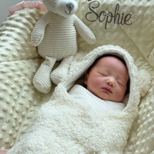 Gallery_1 SOPHIE