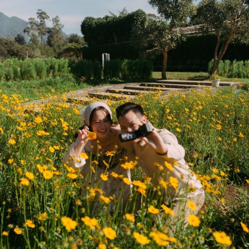 L1850115 RICHARD-VERNICA