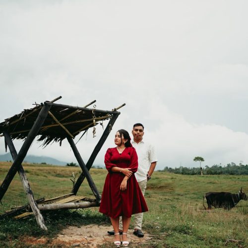 VIOR & ENKA4