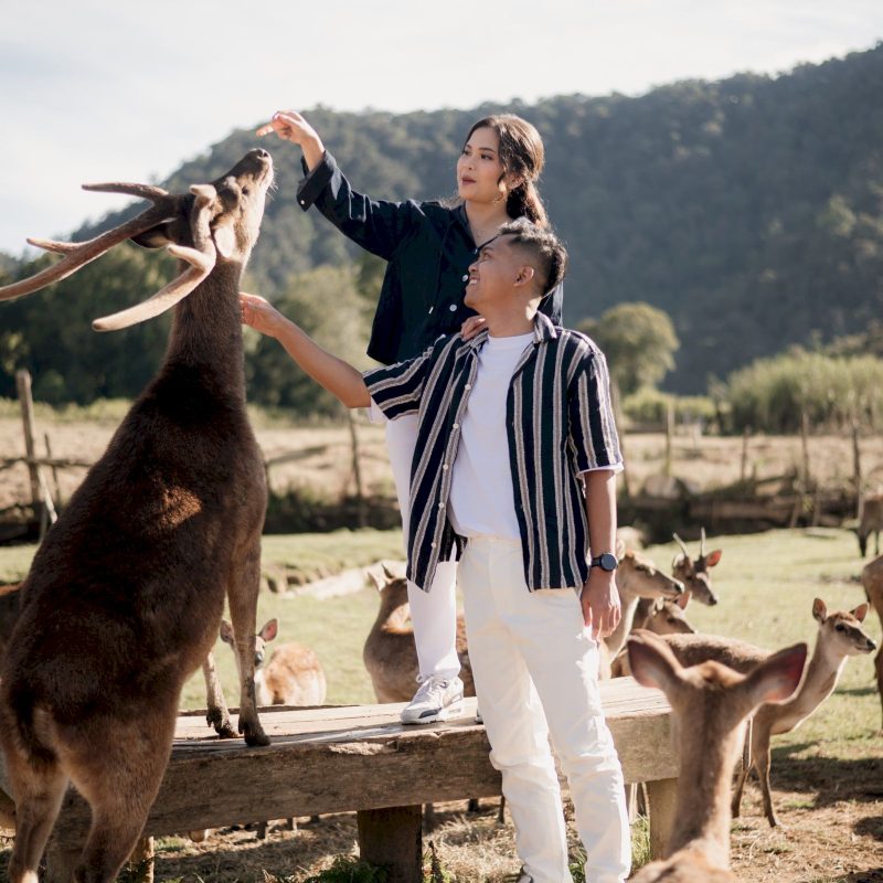 alfabet angelina (17)