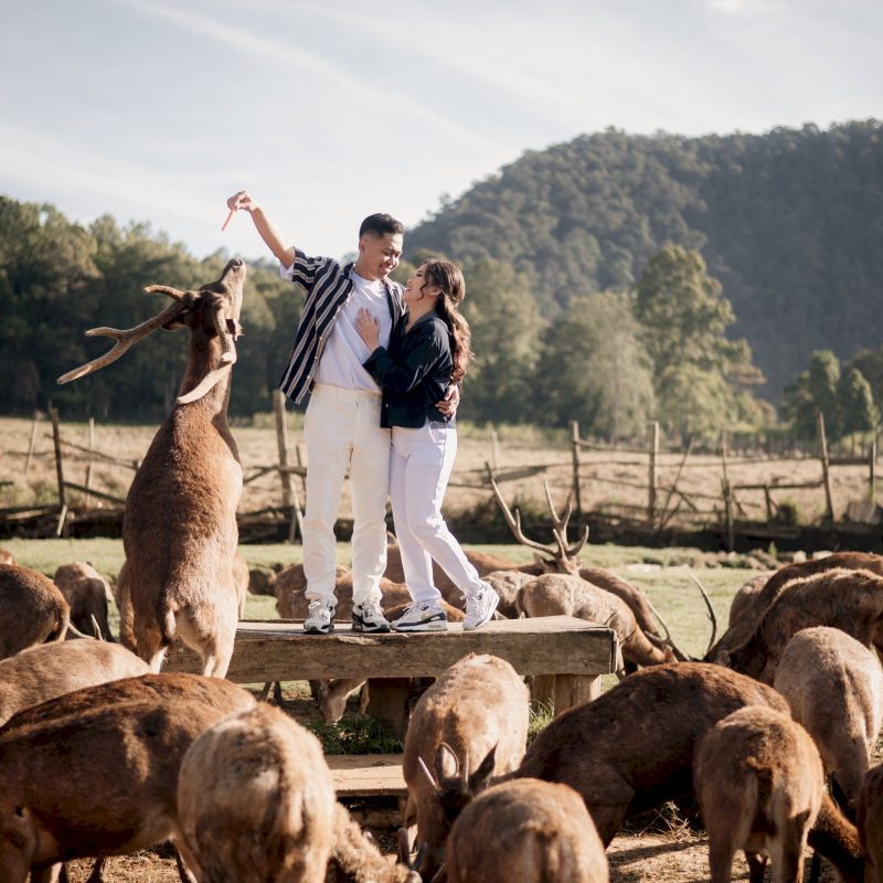 alfabet angelina (18)