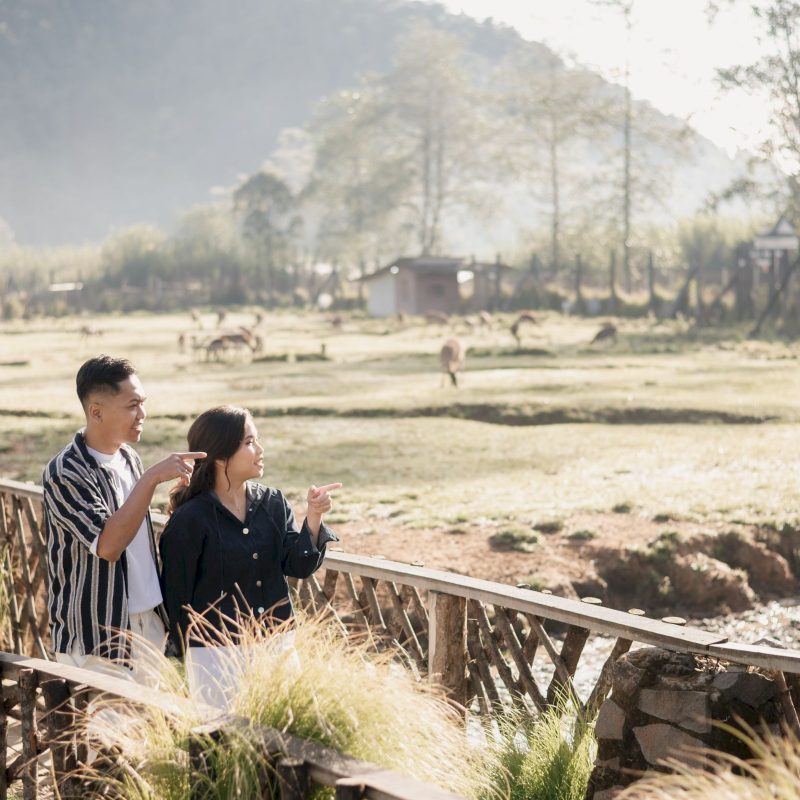 alfabet angelina (20)