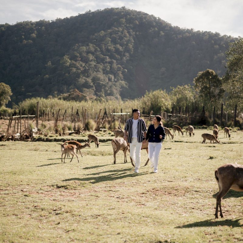 alfabet angelina (22)