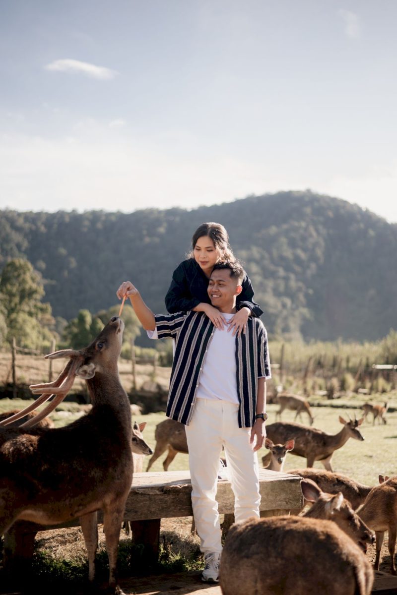 alfabet angelina (6)