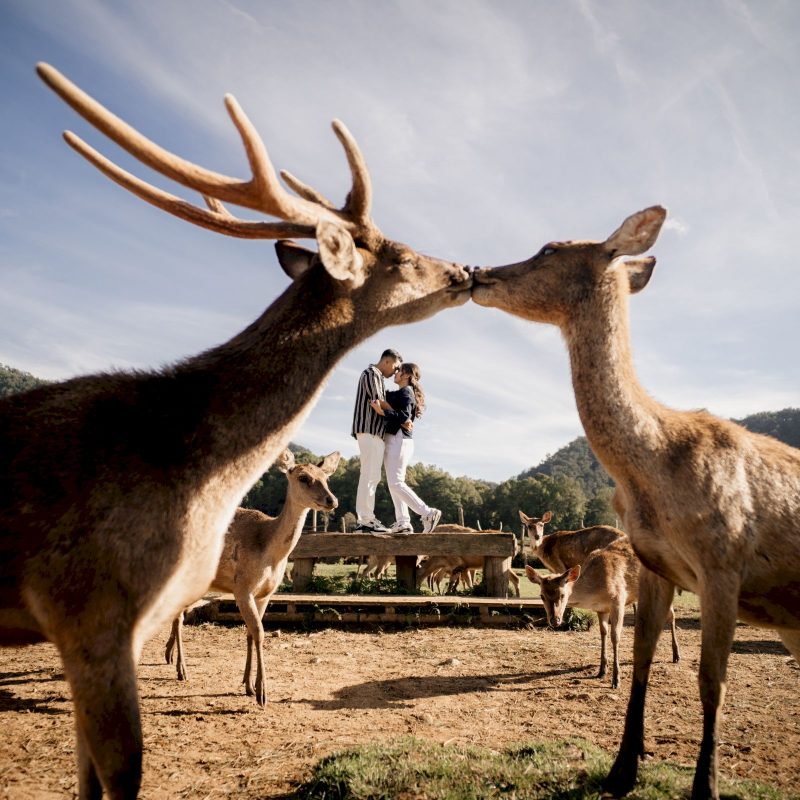 alfabet angelina (9)