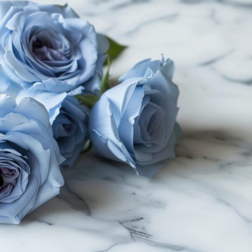 pexel-blue-flower-navy (6)
